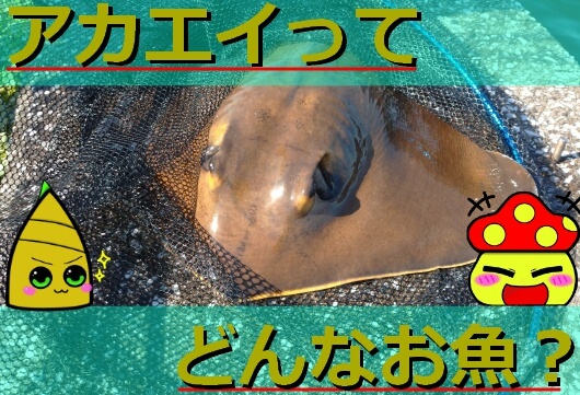 Thumbnail of post image 095